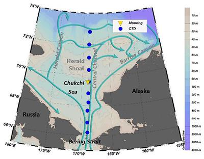 Sea Ice Reduction During Winter of 2017 Due to Oceanic Heat Supplied by Pacific Water in the Chukchi Sea, West Arctic Ocean